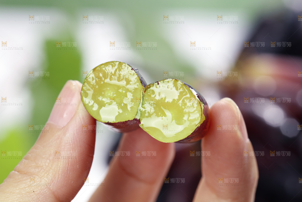 手里拿着美人指黑提