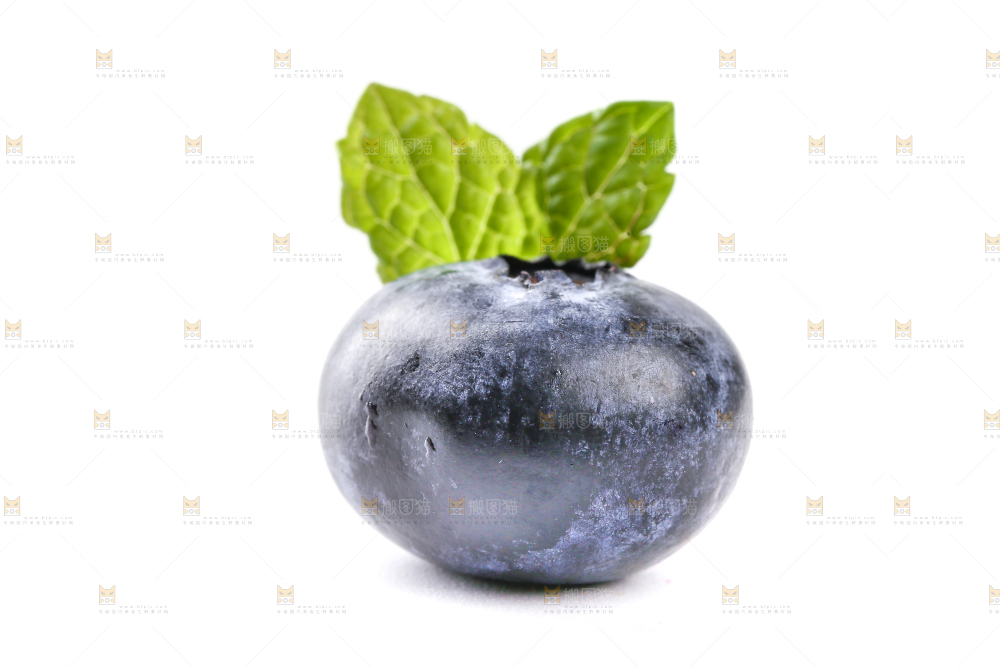 白底上放着的新鲜蓝莓