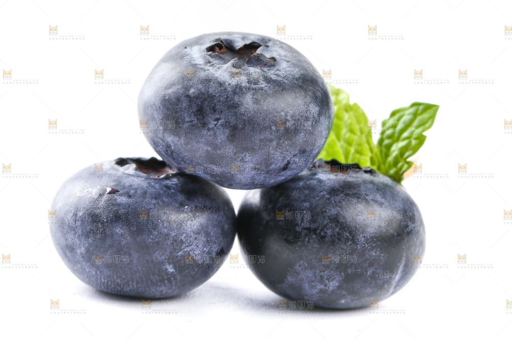 白底上放着的新鲜蓝莓
