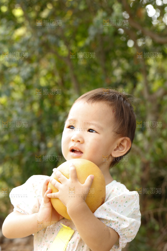 小孩手里拿着秋月梨