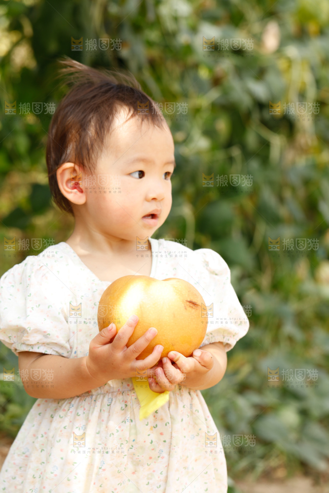 小孩手里拿着秋月梨