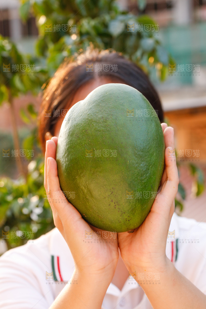 手里拿着凯特芒果