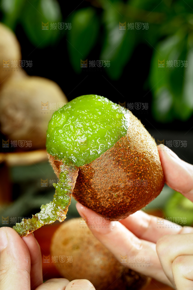 手里拿着奇异果
