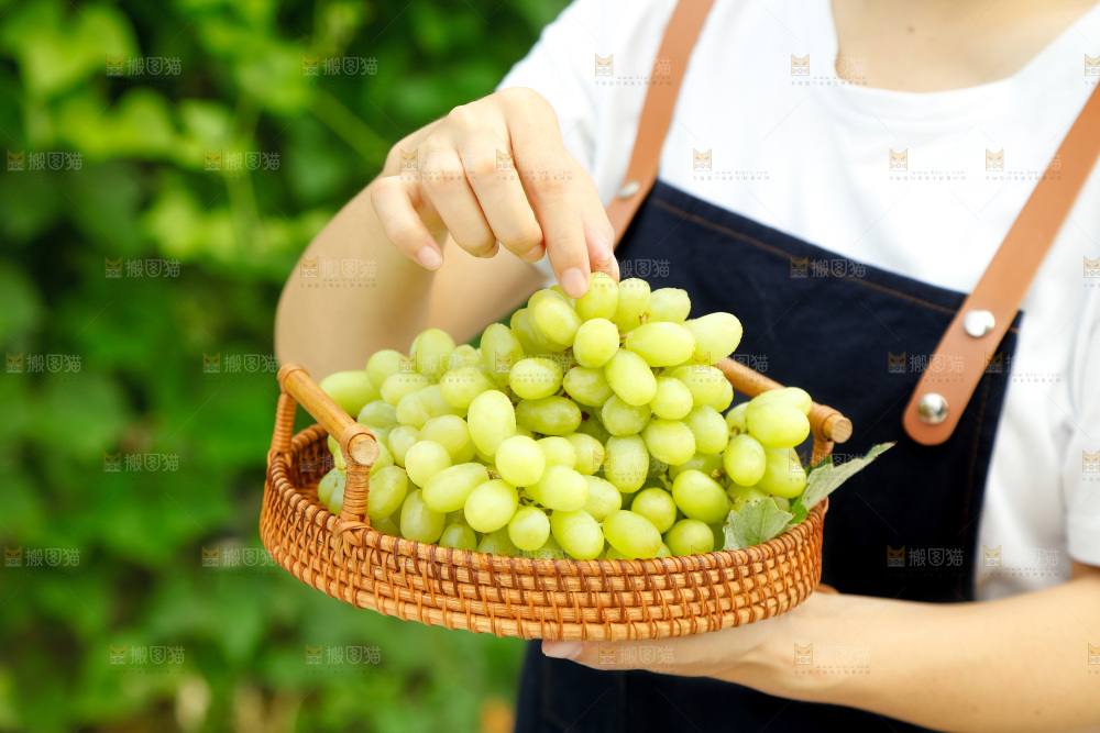 手里端着一篮新疆无核白葡萄