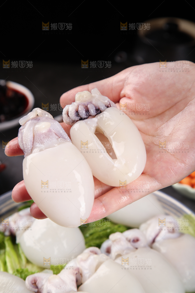 手里拿着新鲜墨鱼仔
