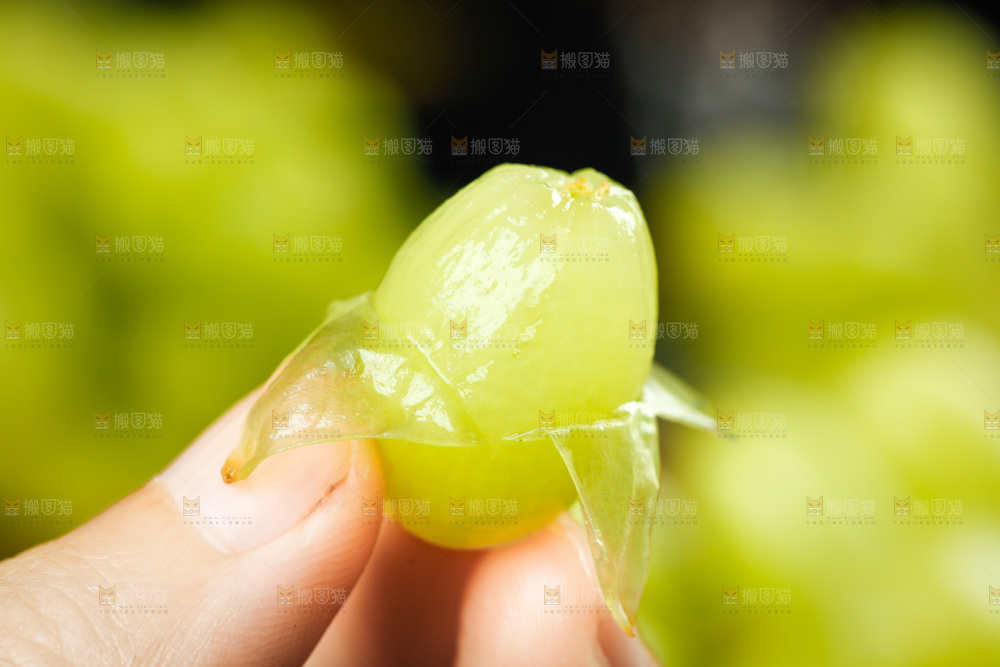 手里拿着葡萄