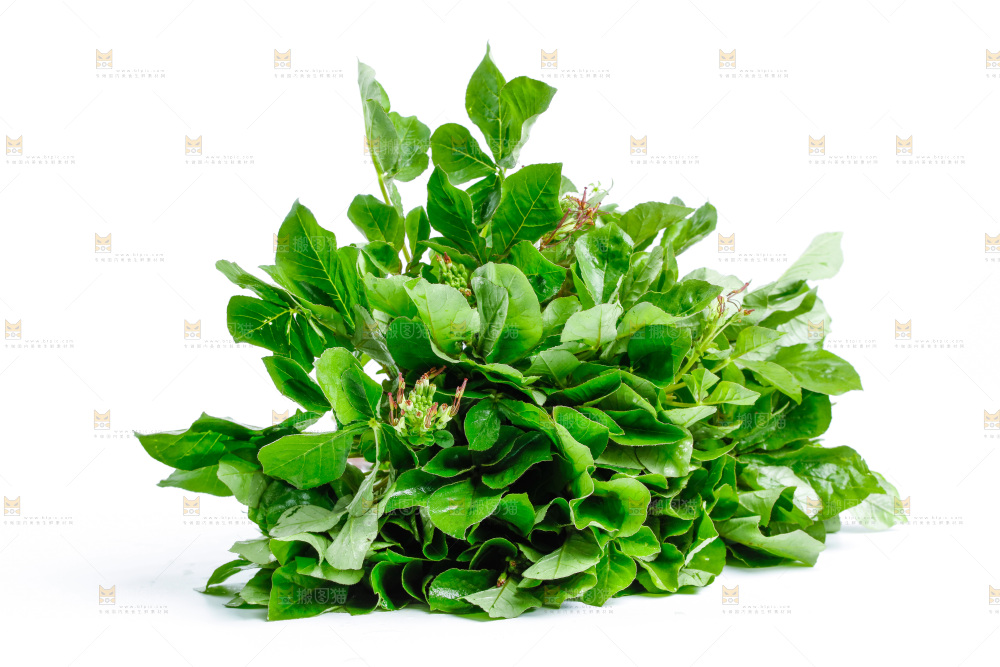 一堆白花菜