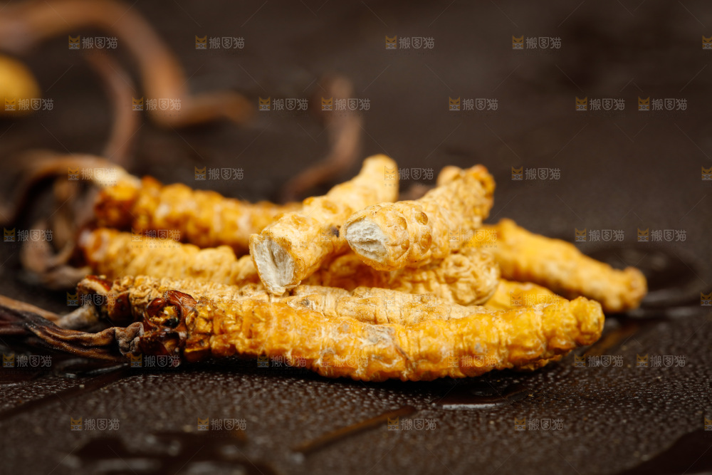 深底上摆放着虫草