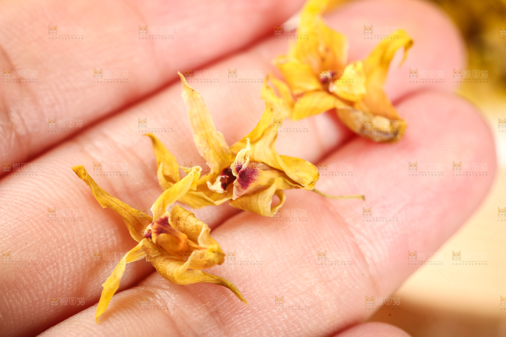 手里拿着石斛花