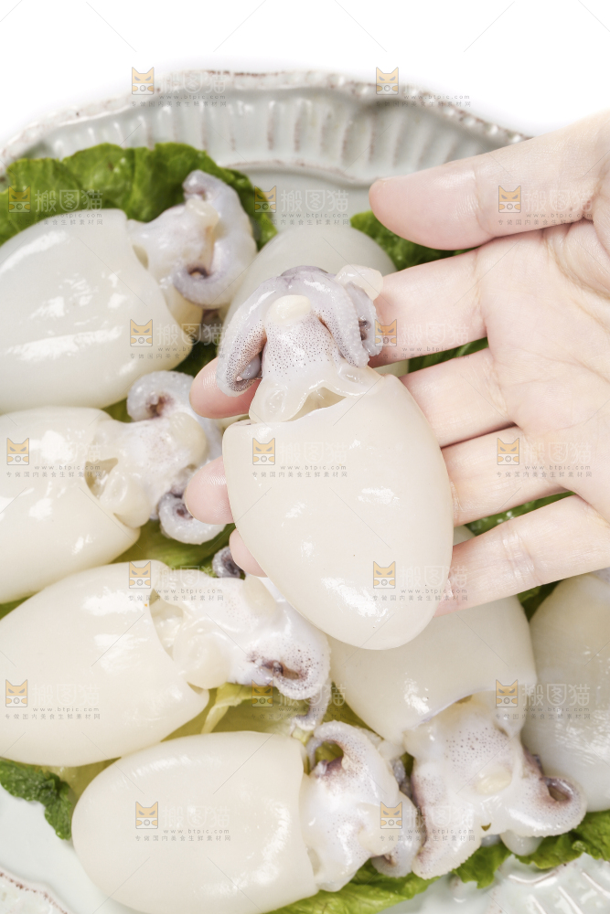 手里拿着小墨鱼