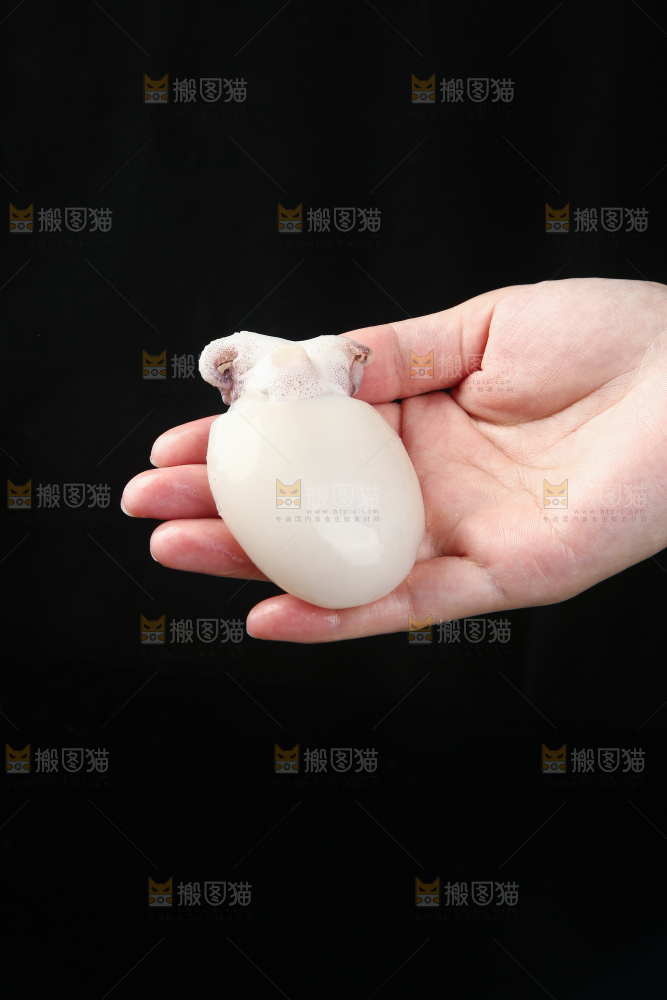 手里拿着小乌贼