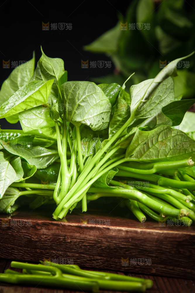 一堆新鲜红薯叶