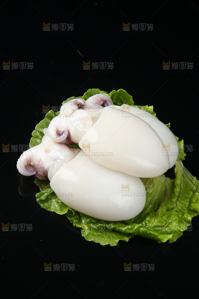 菜叶上的小墨鱼