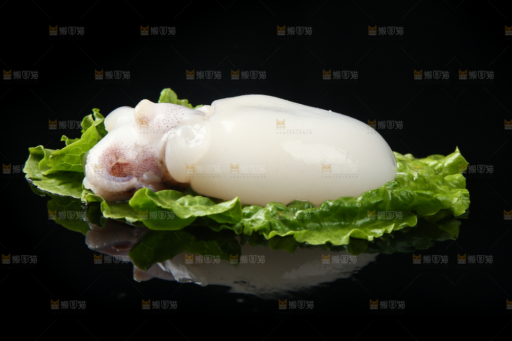 菜叶上的小墨鱼
