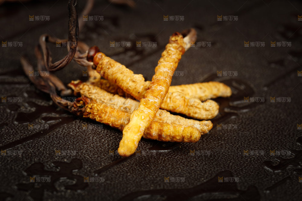 深底上摆放着虫草