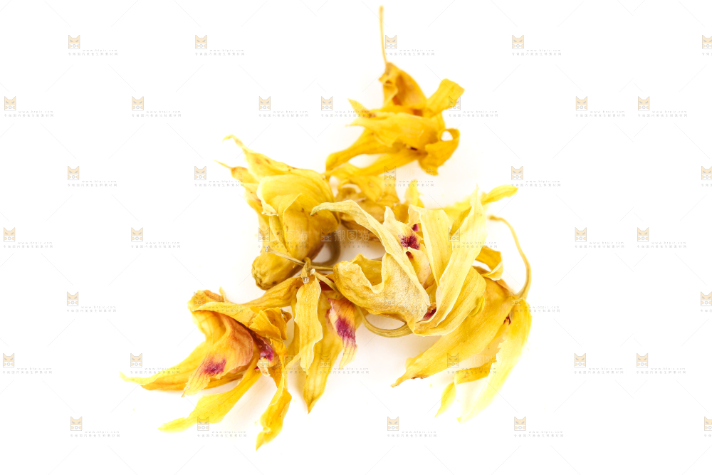 白底上的石斛花干
