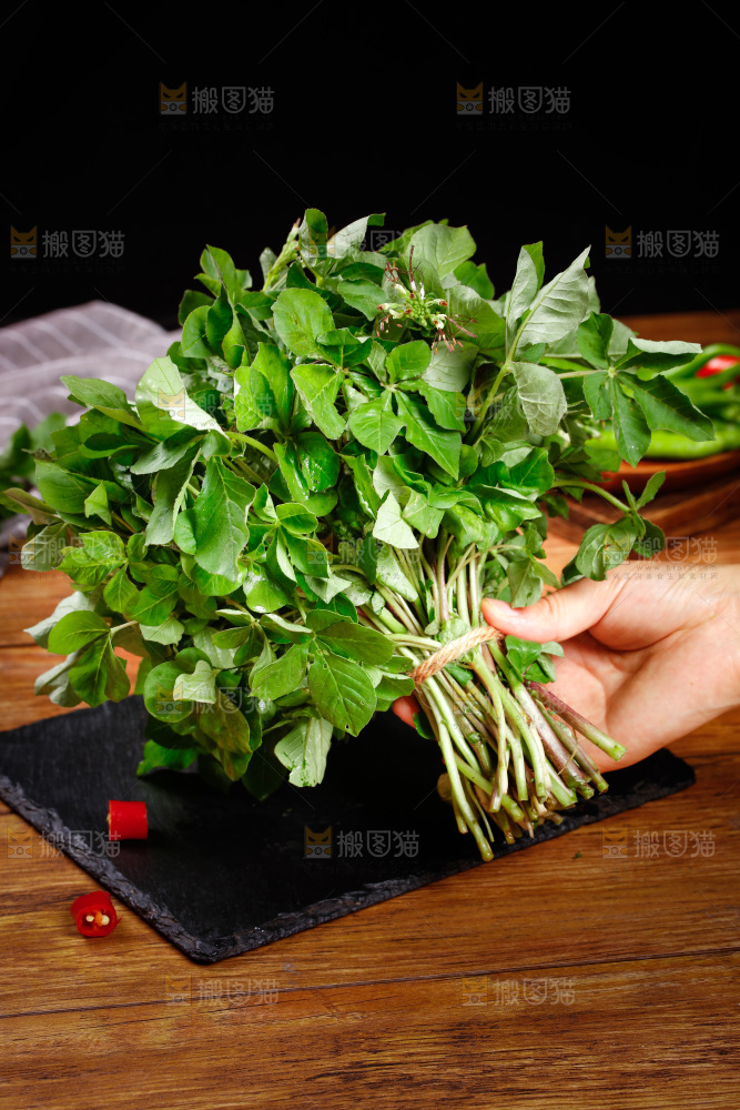 手里拿着一把白花菜