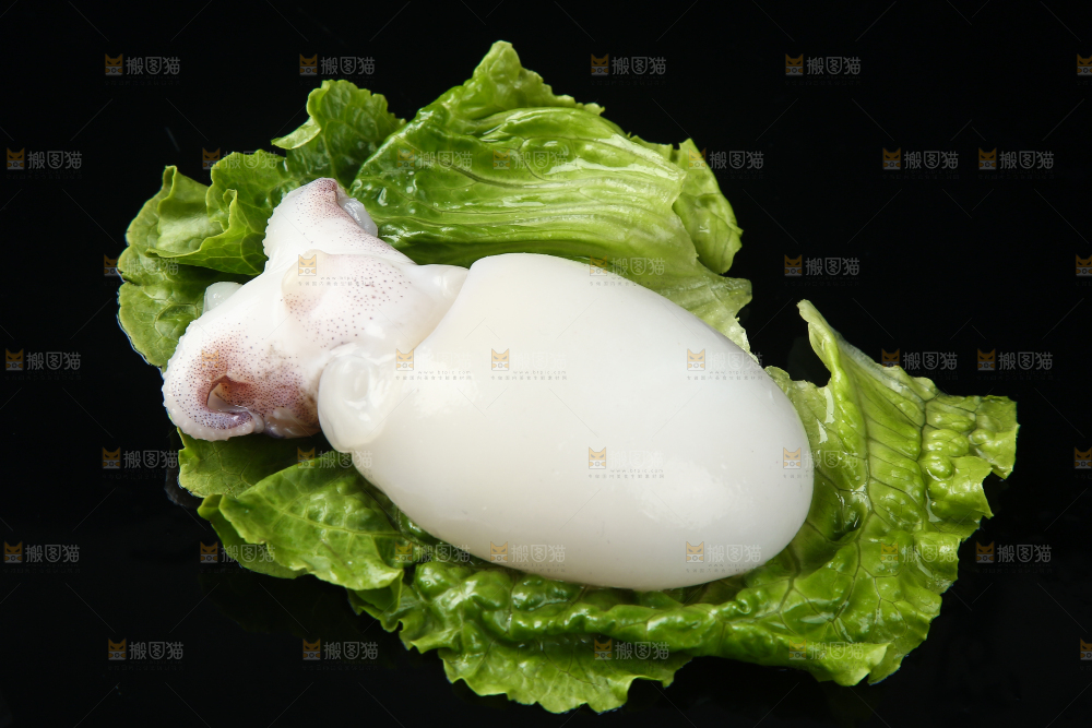菜叶上的小墨鱼