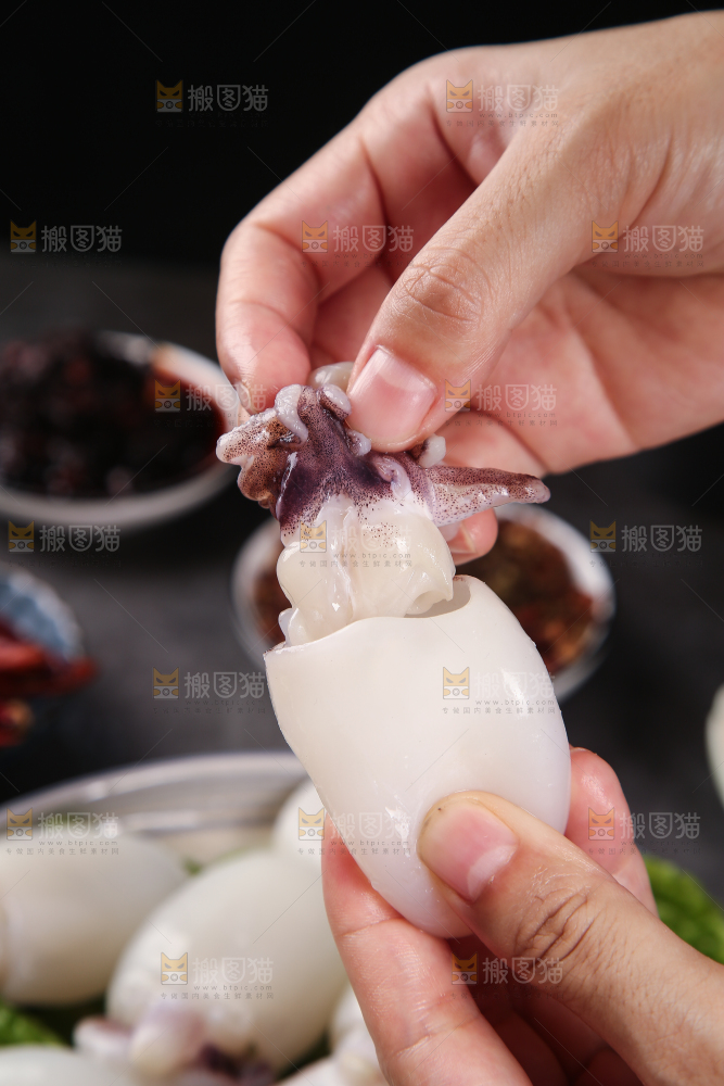 手里拿着新鲜墨鱼仔