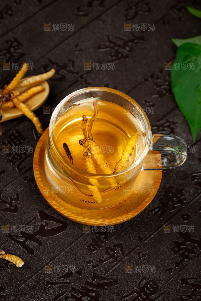 一杯虫草茶