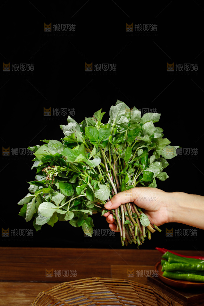 手里拿着白花菜