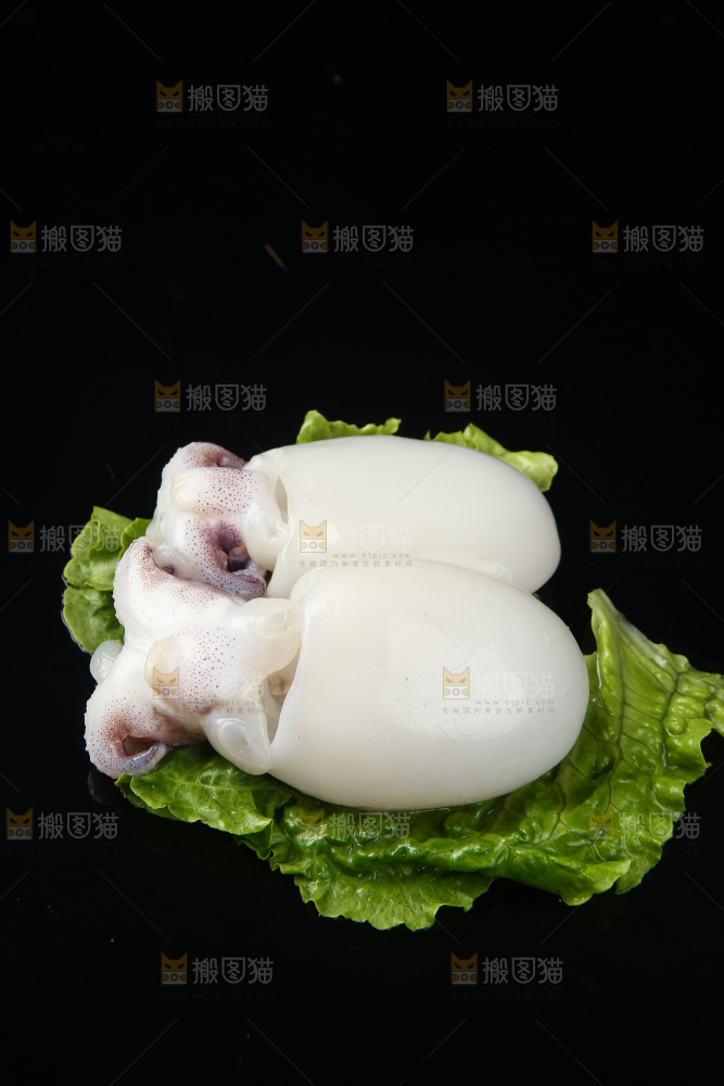 菜叶上的小墨鱼