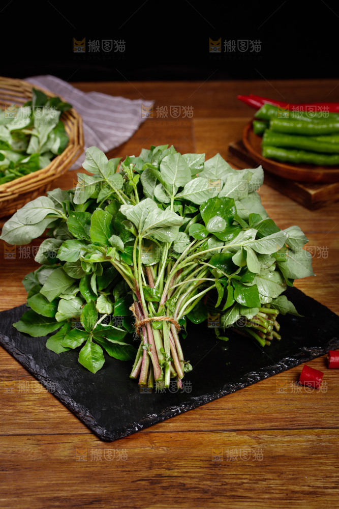 黑石板上的湖北白花菜