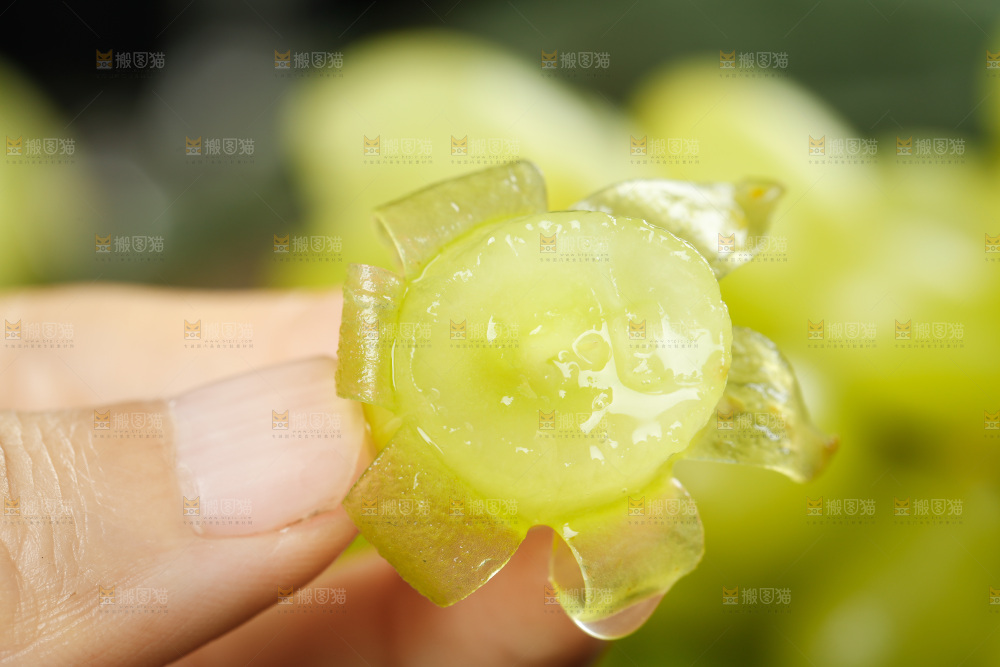 手里拿着无核白葡萄