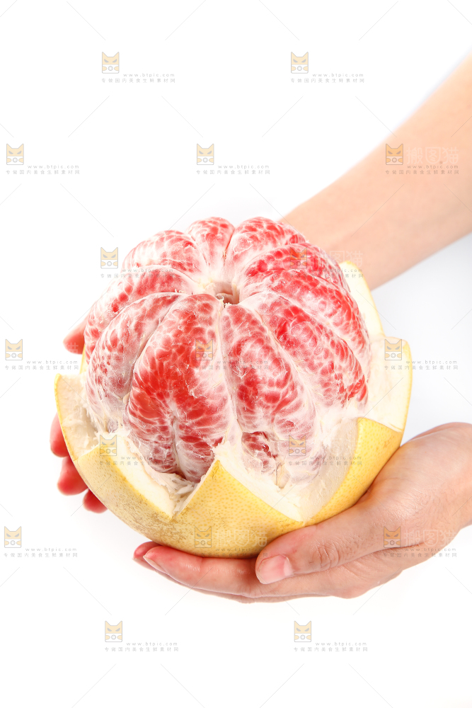 手里捧着红柚