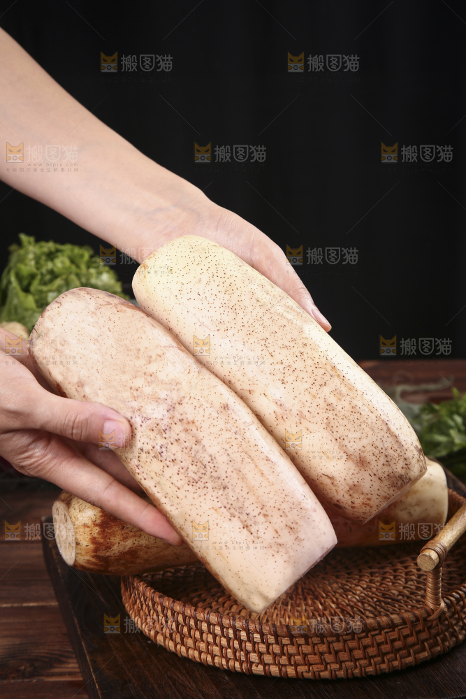 手里拿着湖北莲藕