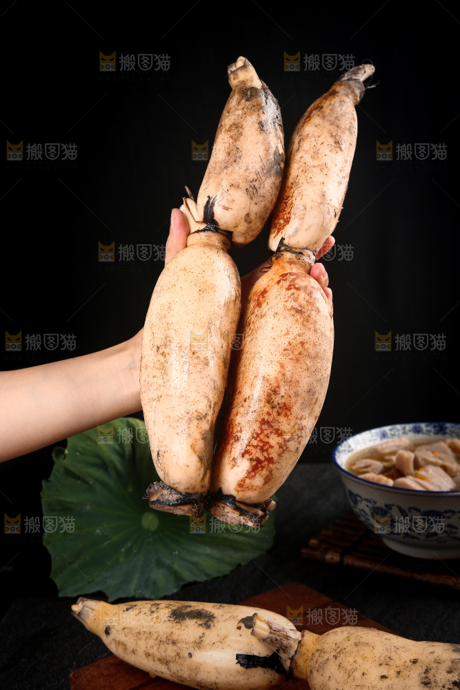 手上拿着粉藕