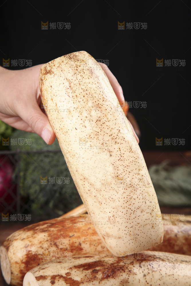 手里拿着湖北莲藕