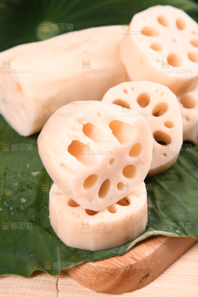 荷叶上的粉藕