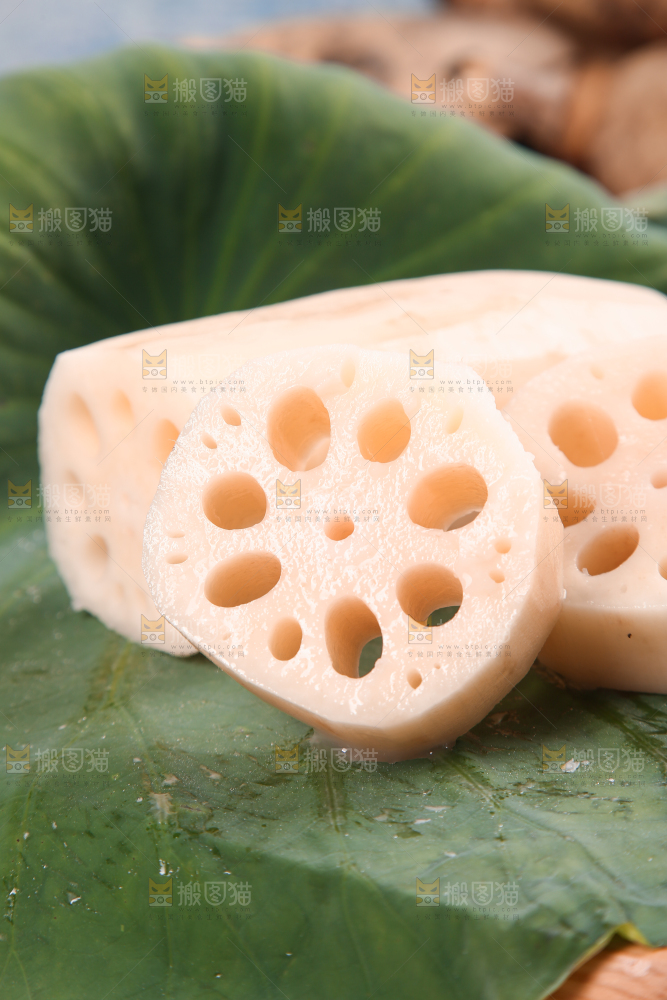 荷叶上的莲藕