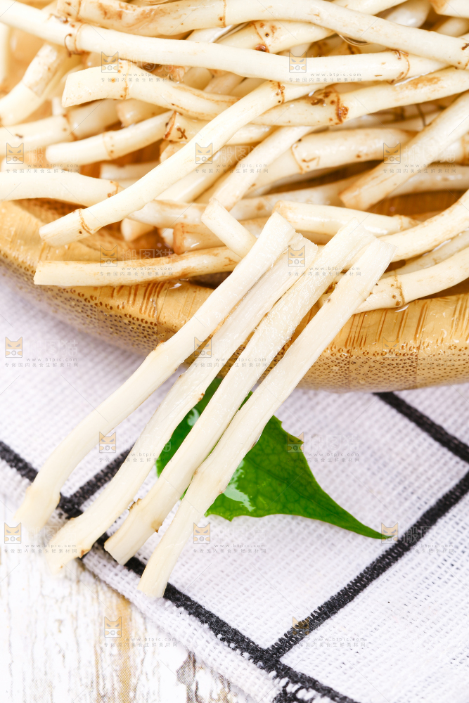 格子底上的鱼腥草