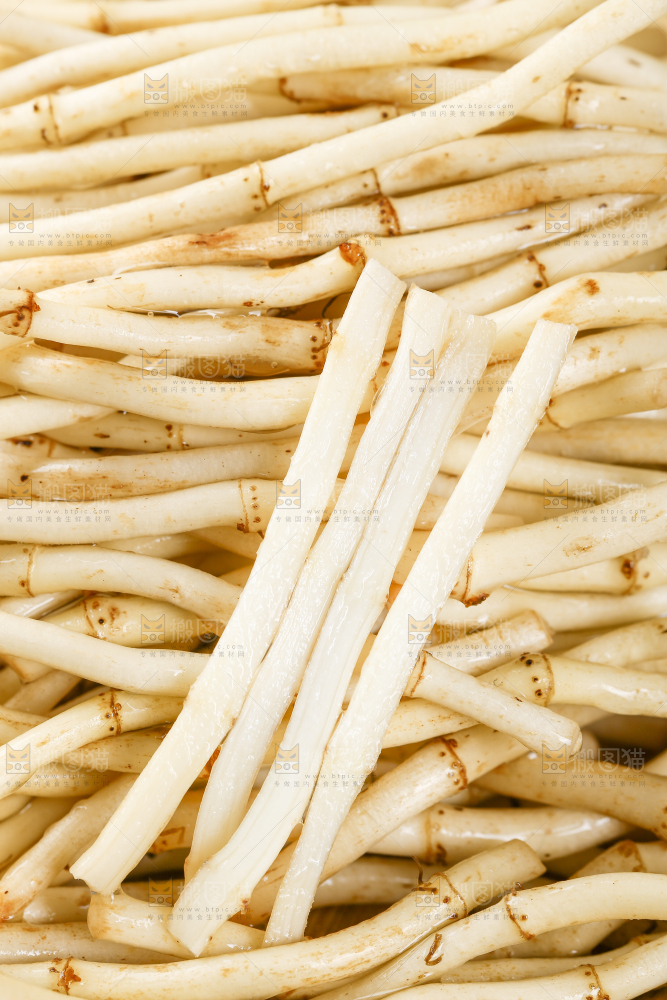 一堆新鲜折耳根