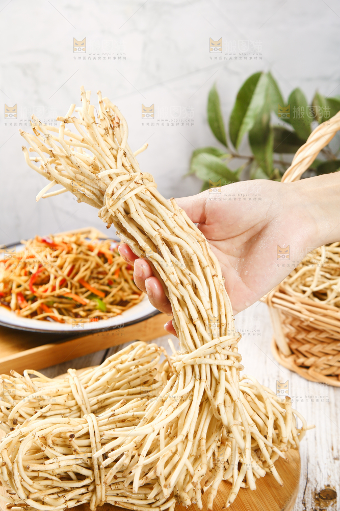 手里拿着鱼腥草