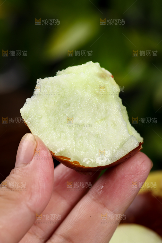 手里拿着枣子