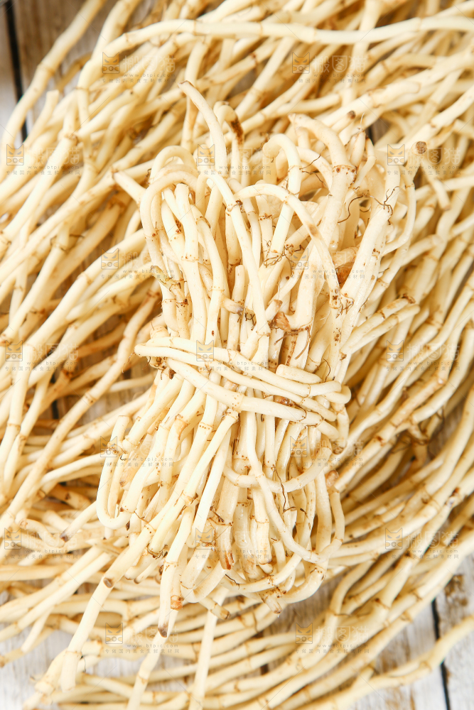 一堆新鲜折耳根