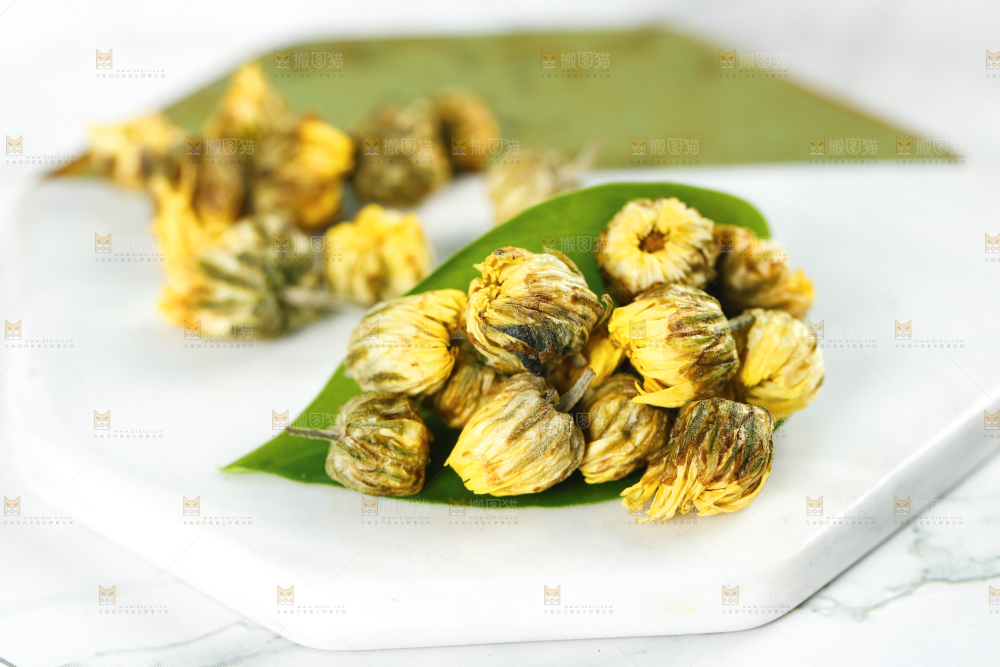 石垫上的胎菊