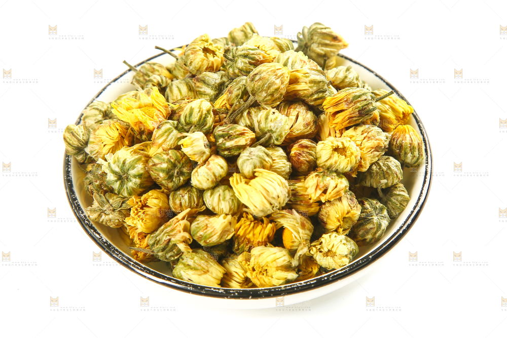 白底上放着一盘胎菊