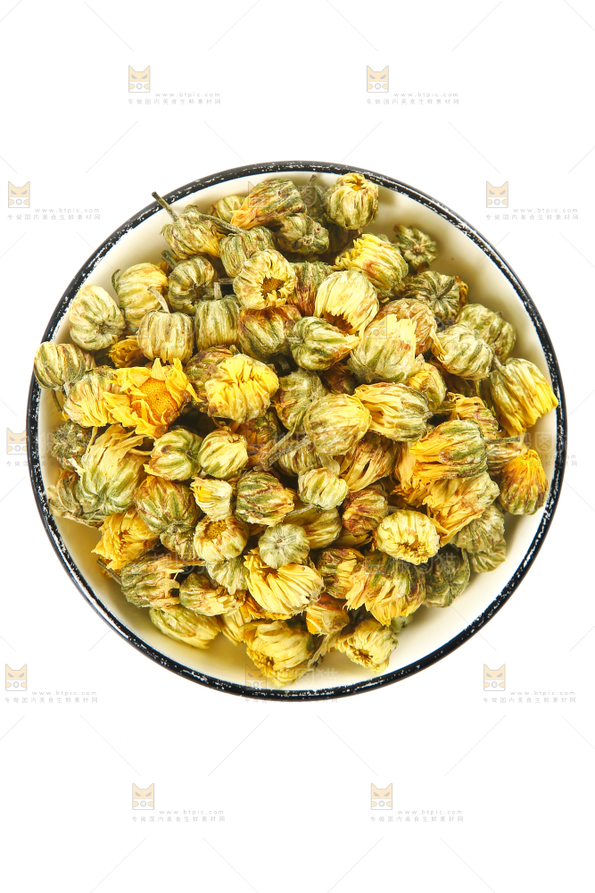 白底上放着一盘胎菊