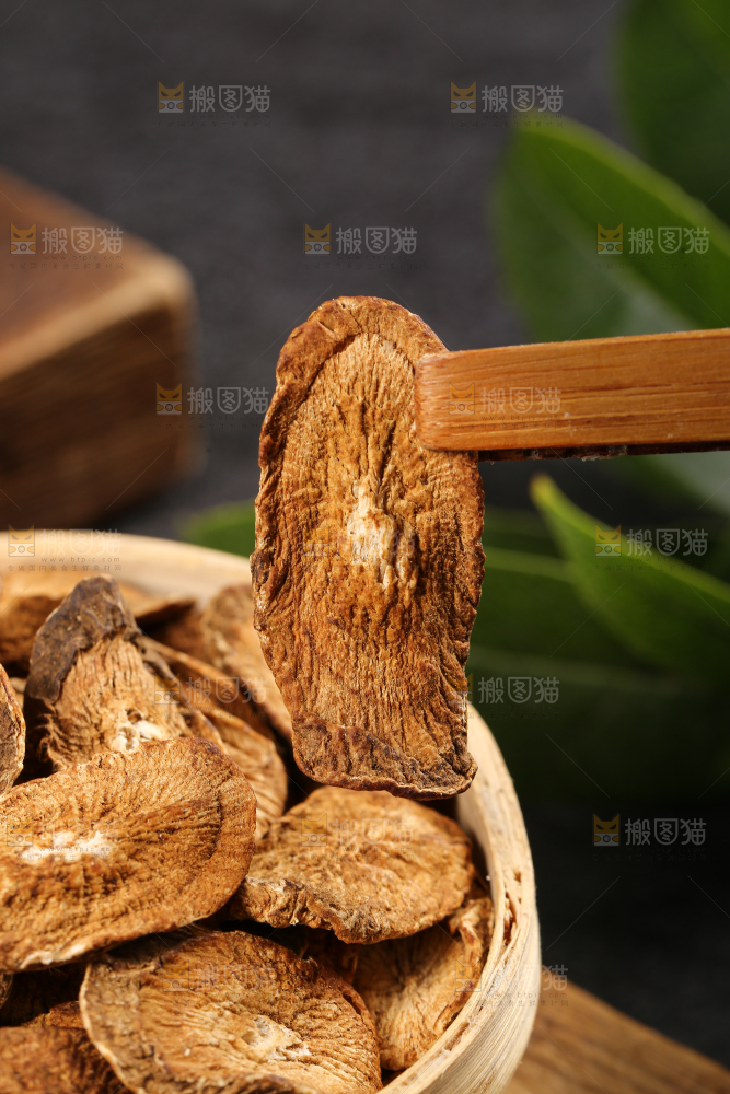 夹子上夹着牛蒡片