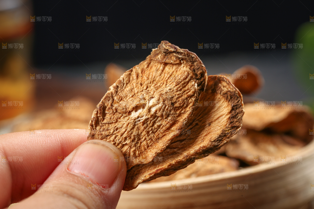 手里拿着牛蒡根