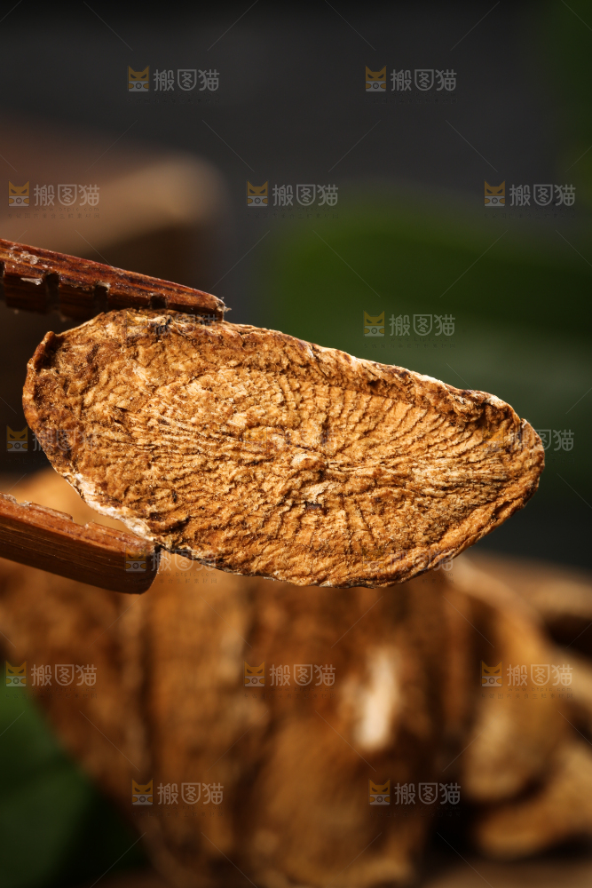 夹子上夹着牛蒡片