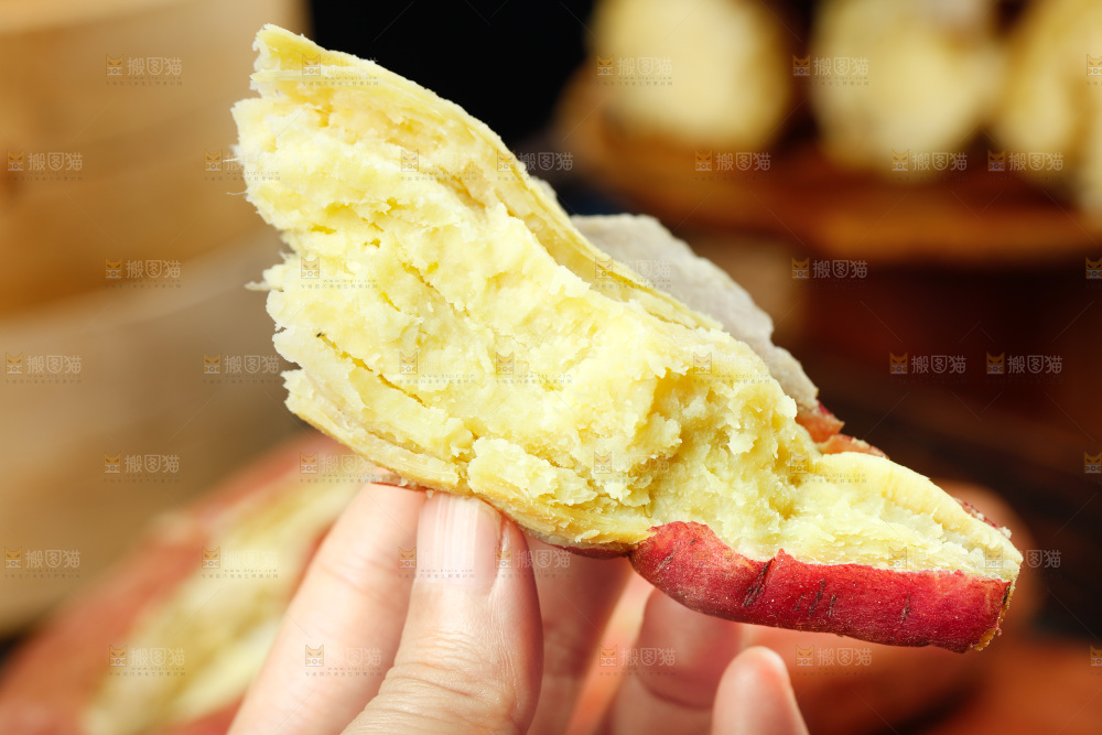 手上黃心板栗薯