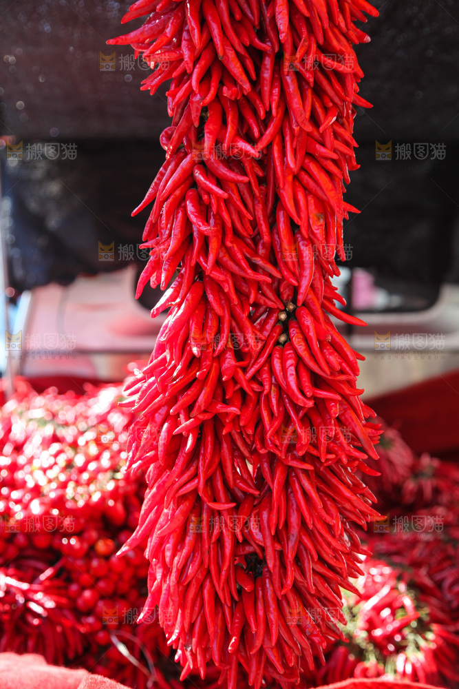 一大串红尖椒
