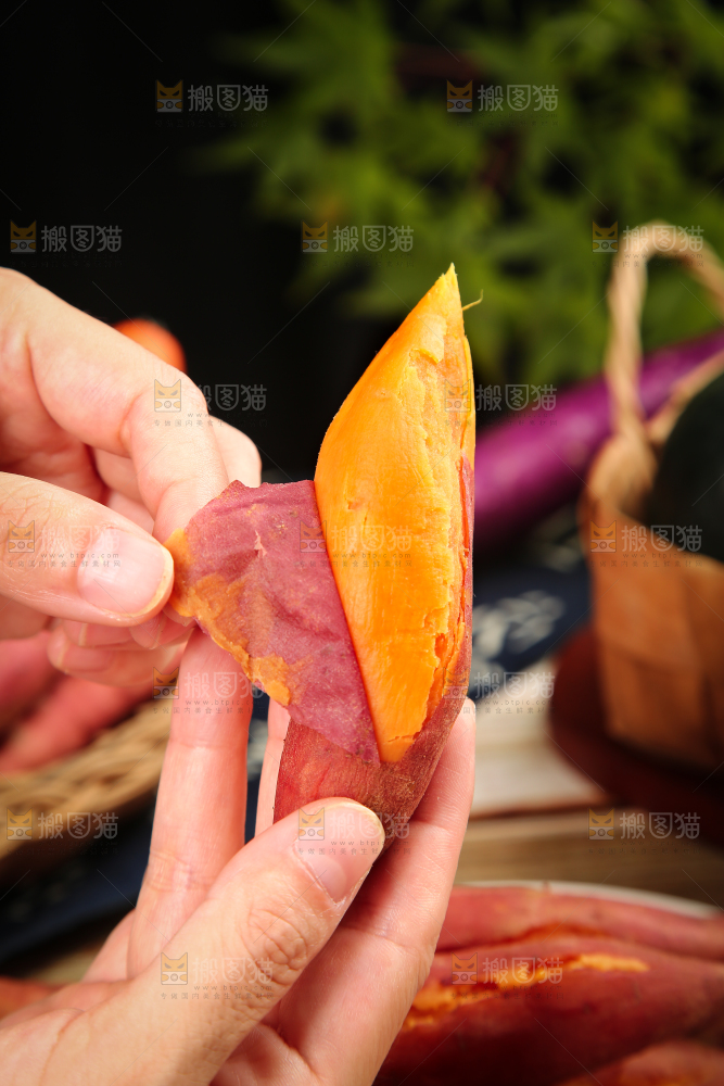 六鳌蜜薯