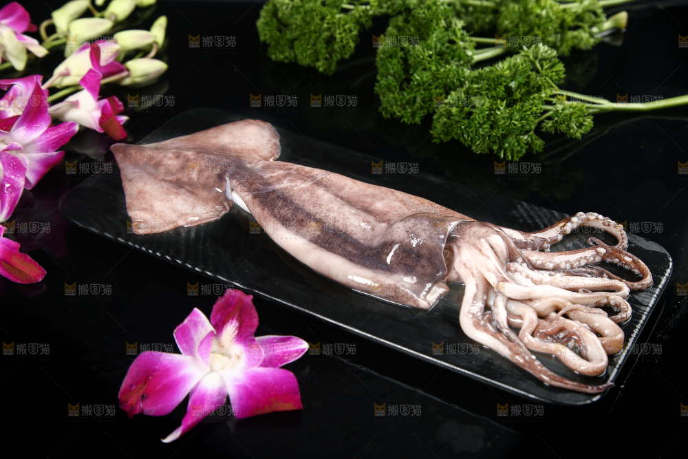 黑底上的鱿鱼