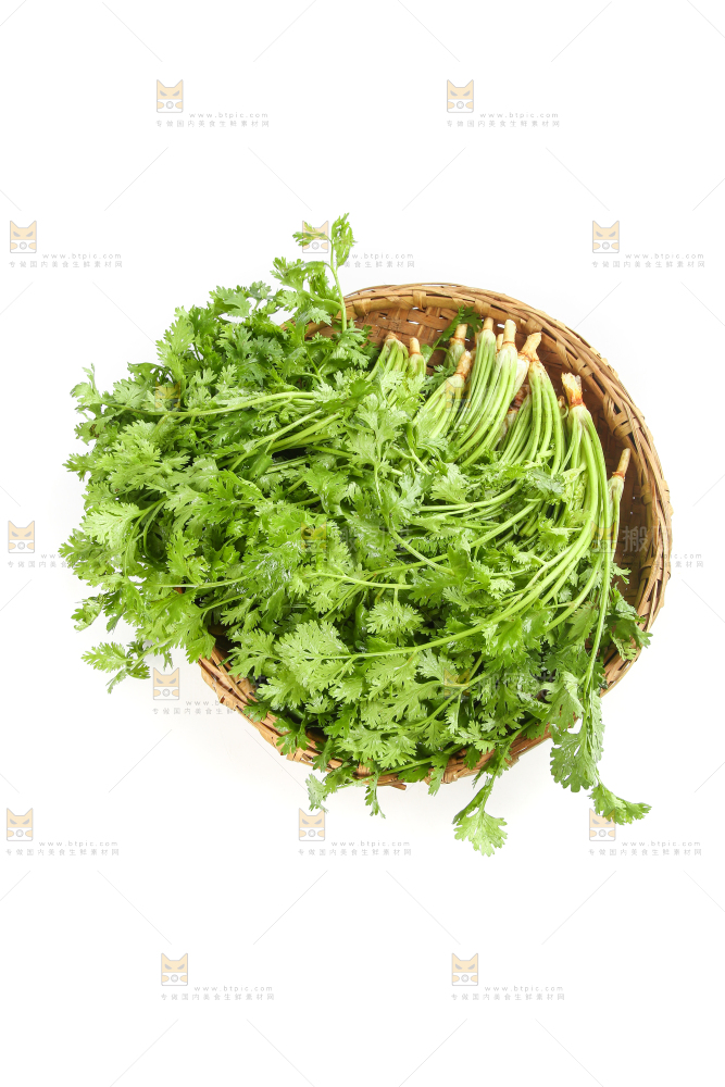 白底上的芹菜